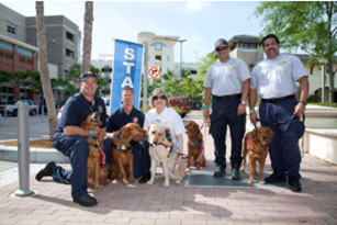 Miami Fire Rescue Dogs ready to start walking 