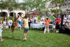 Tryout for Most Talented dog contest 