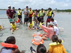 Music Summer Camp students gather on the sandbar to touch the sealife that was captured.