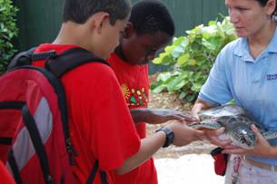 STAR students touch a sea turtle.