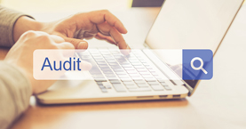 Website Audits